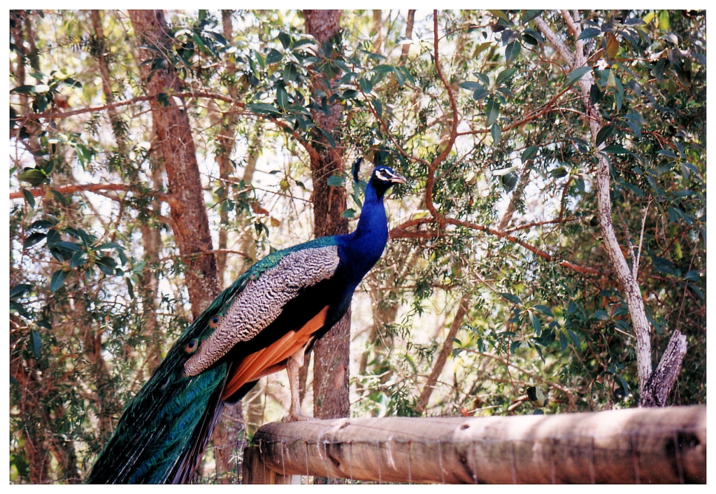 04 - Queensland (26).jpg